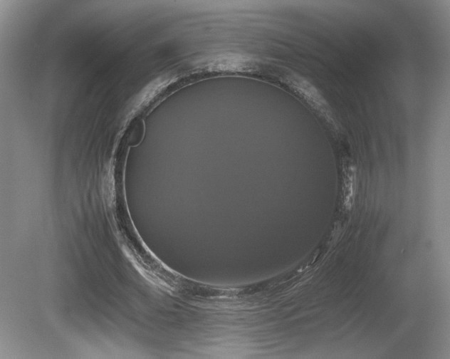 X0000080780678200612151429