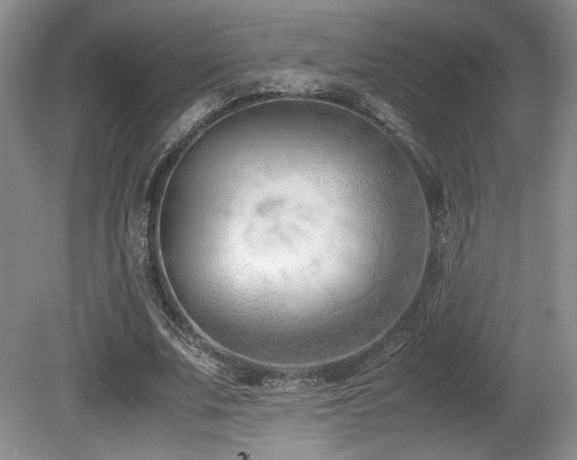 X0000080780679200612151429