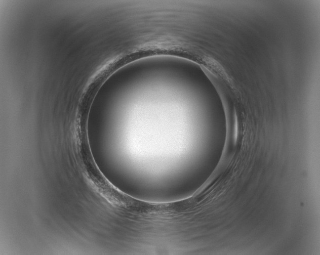 X0000080780680200612151429