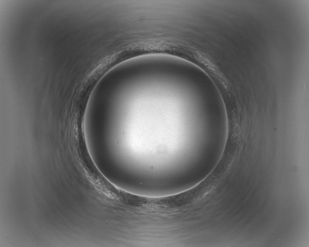 X0000080780681200612151429