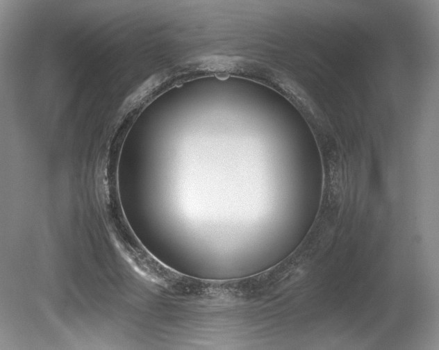 X0000080780682200612151429