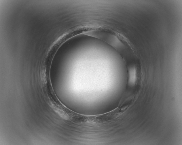 X0000080780684200612151429