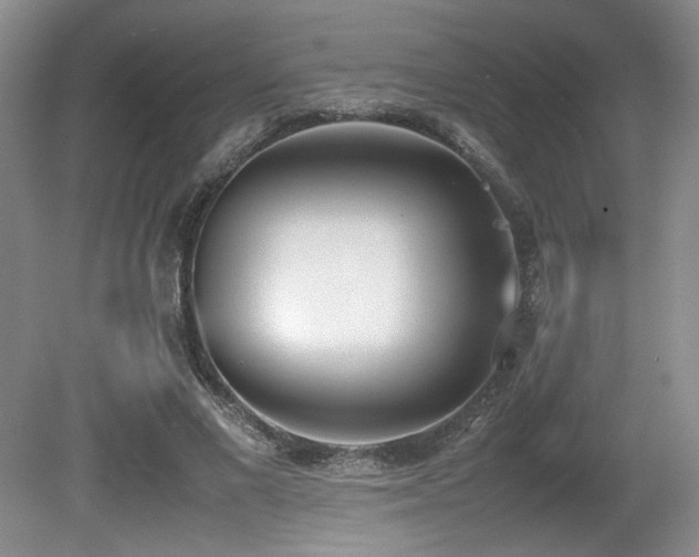 X0000080780685200612151429