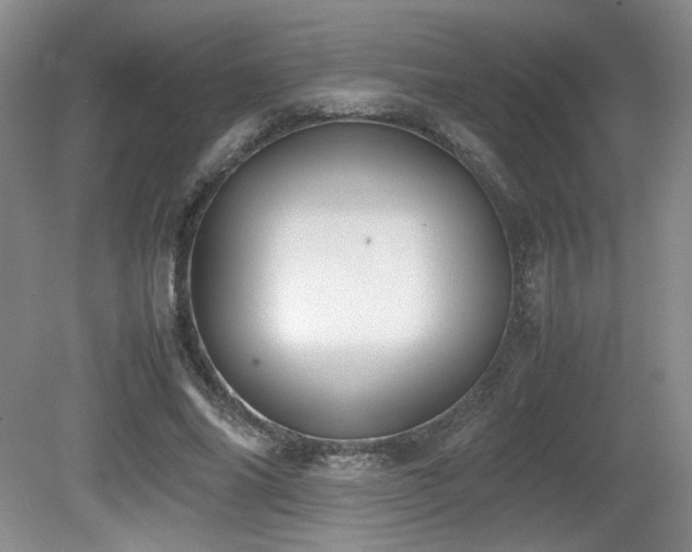 X0000080780686200612151429