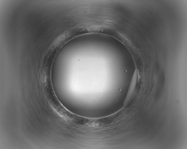 X0000080780687200612151429