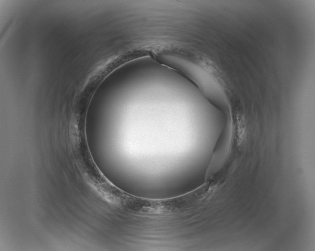 X0000080780688200612151429