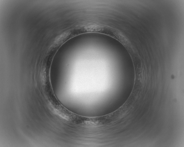 X0000080780690200612151429