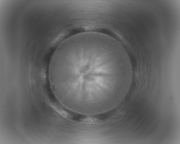 X0000080780691200612151429