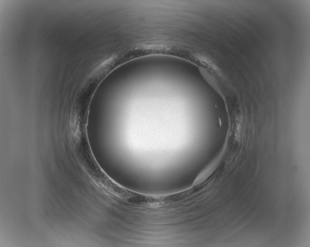 X0000080780692200612151429