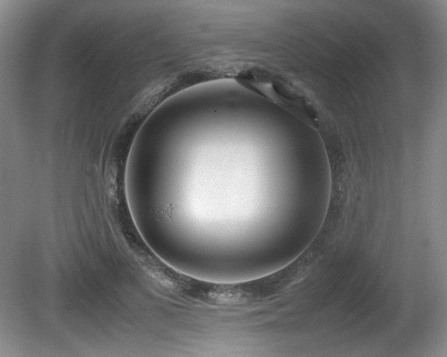 X0000080780693200612151429