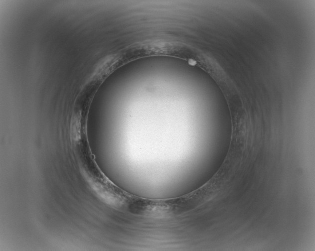 X0000080780694200612151429