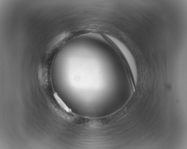 X0000080780696200612151429