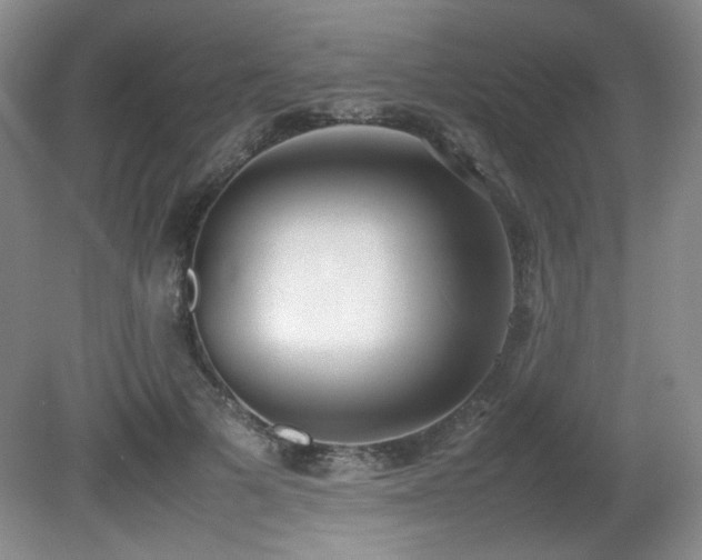 X0000080780697200612151429