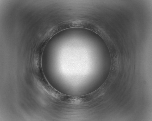 X0000080780698200612151429