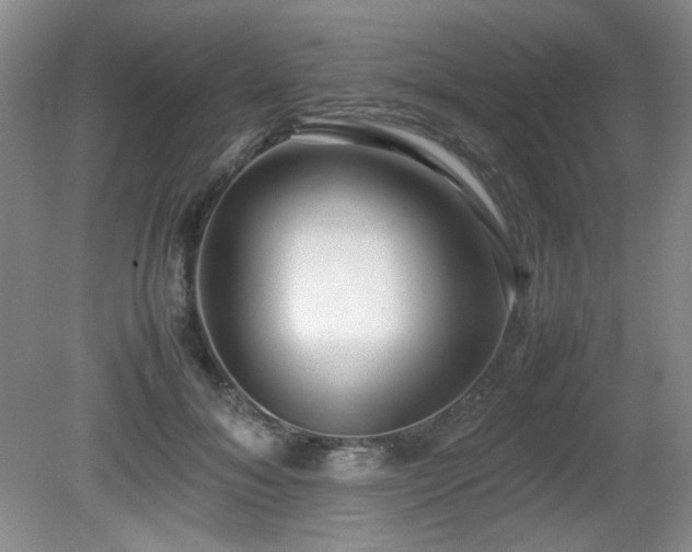 X0000080780700200612151429