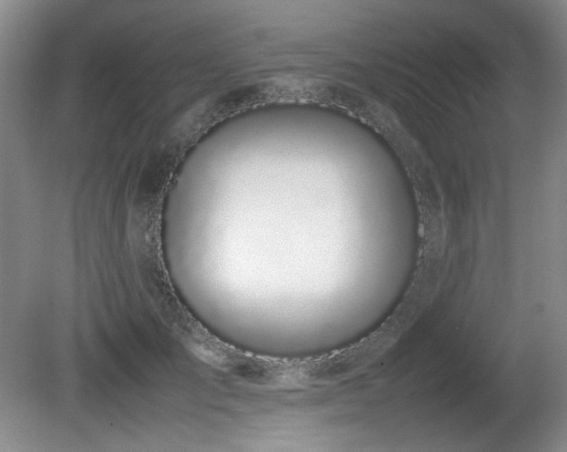 X0000080780701200612151429