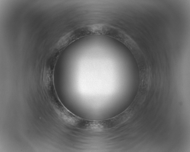 X0000080780702200612151429