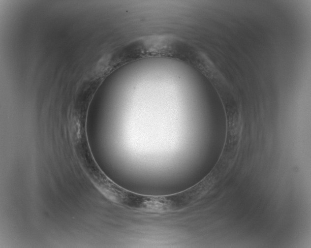 X0000080780703200612151429