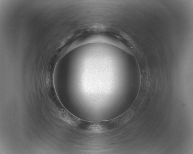 X0000080780704200612151429