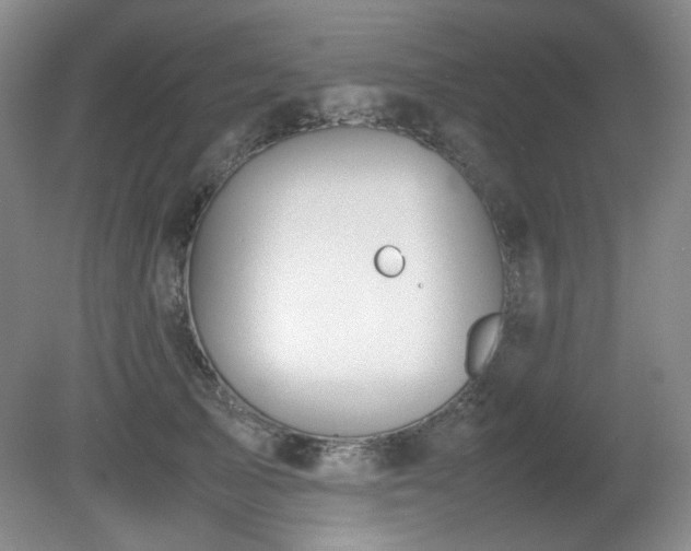 X0000080780705200612151429