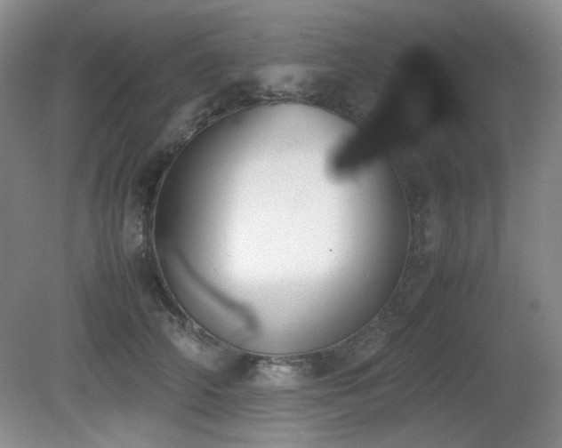 X0000080780706200612151429