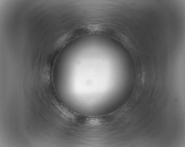 X0000080780710200612151429