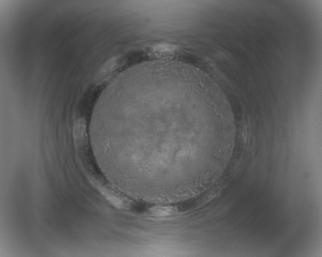 X0000080780711200612151429