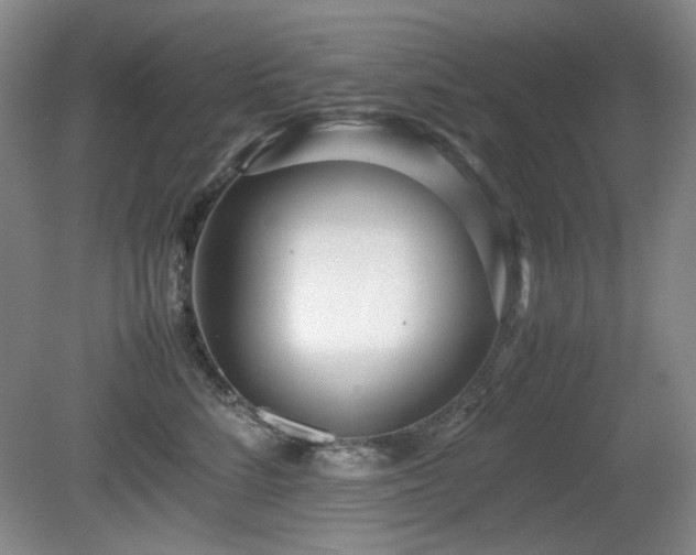 X0000080780712200612151429
