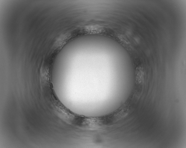 X0000080780713200612151429