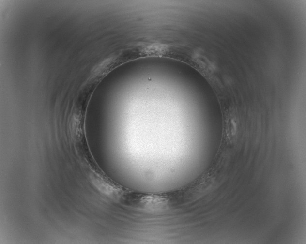 X0000080780714200612151429