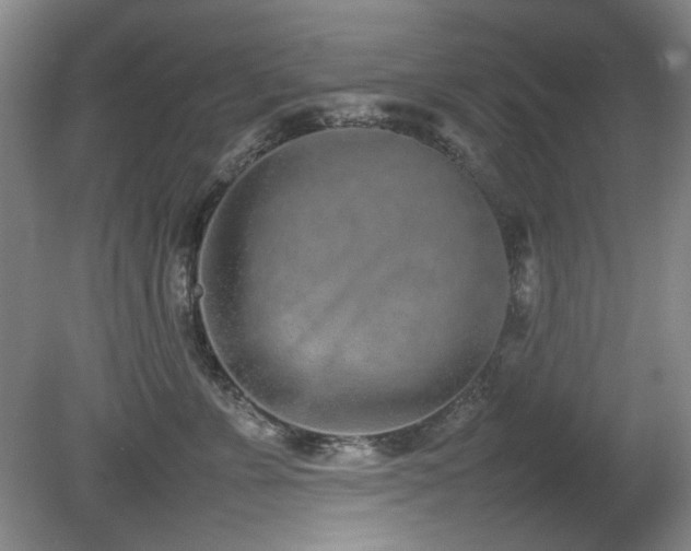 X0000080780715200612151429
