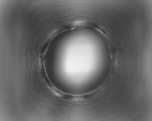 X0000080780716200612151429
