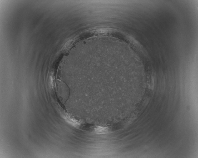 X0000080780718200612151429