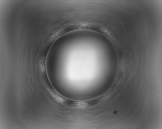 X0000080780719200612151429