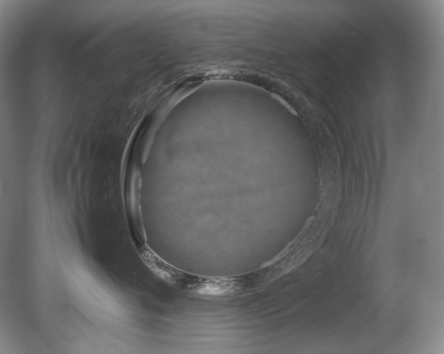 X0000080780720200612151429