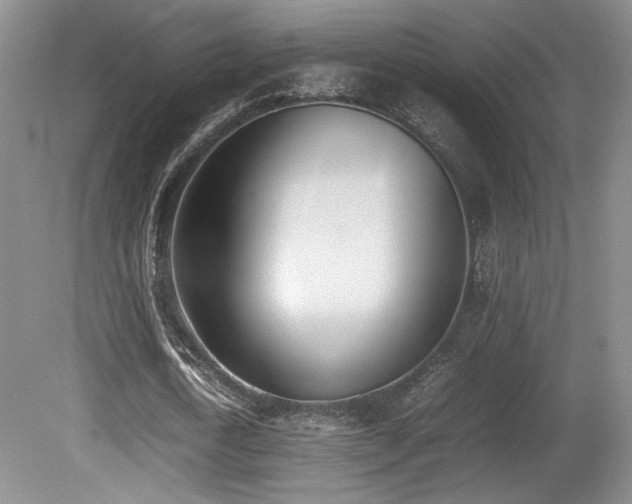 X0000080780722200612151428