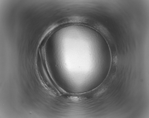 X0000080780724200612151428
