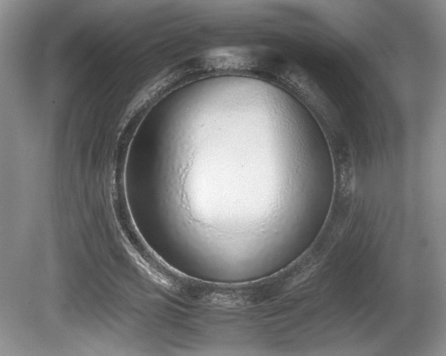 X0000080780725200612151428