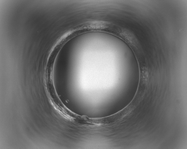 X0000080780726200612151428