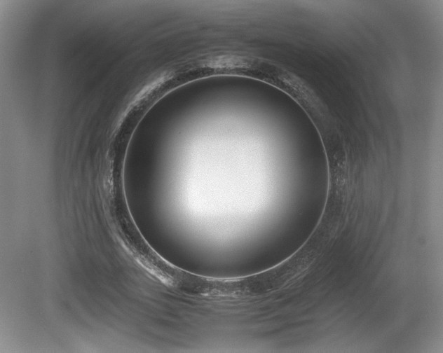 X0000080780727200612151428