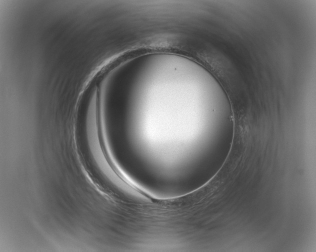 X0000080780728200612151428