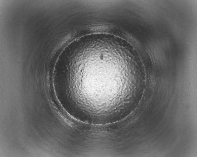 X0000080780729200612151428