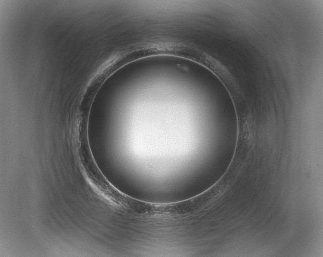 X0000080780730200612151428