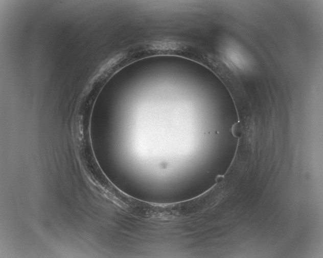 X0000080780731200612151428