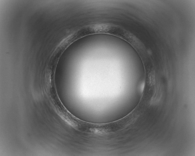 X0000080780733200612151428