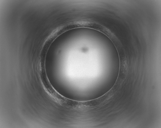 X0000080780734200612151428