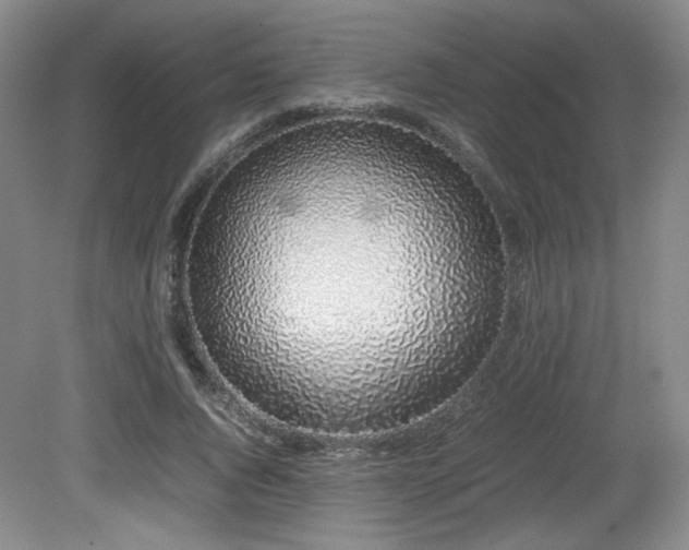 X0000080780736200612151428