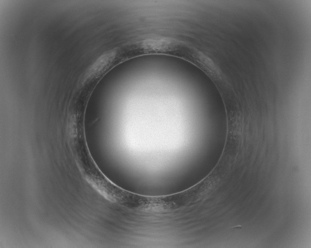 X0000080780738200612151428