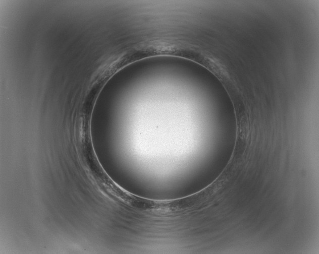 X0000080780740200612151428