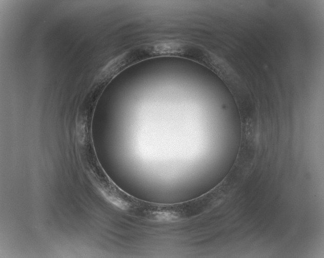 X0000080780741200612151428